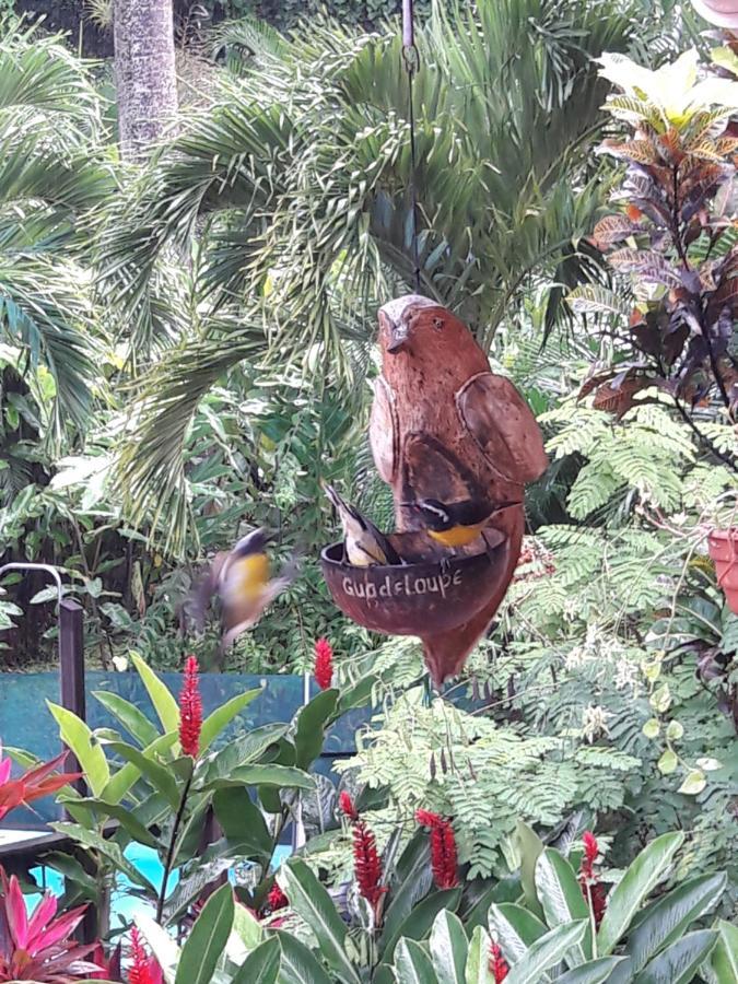 Willa Les Jardins De L'Esperance Bouillante Zewnętrze zdjęcie