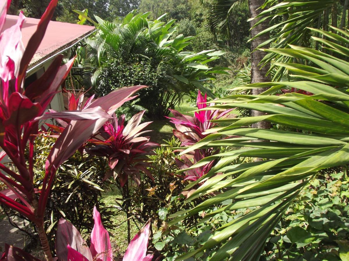 Willa Les Jardins De L'Esperance Bouillante Zewnętrze zdjęcie